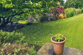 Foto: Garten