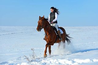 Foto: Reiterin Winterlandschaft