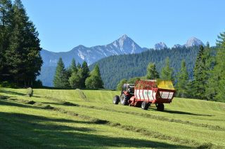 Foto: 'Feldarbeit